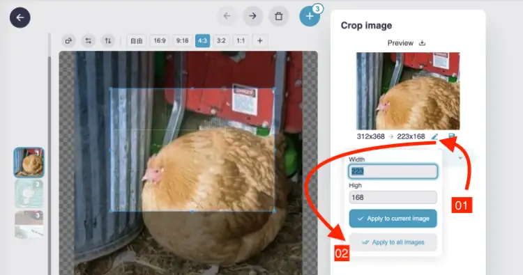 Set the same cropping box size for all images at the same time, ImagesTool.com Crop Image Size Tool